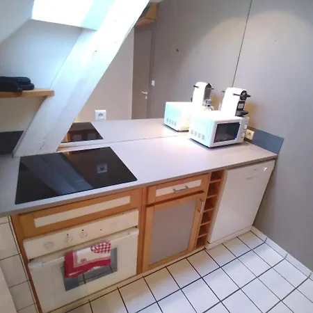 Homeplace Appart Saint Pierre Parking Free 5***** Strasbourg