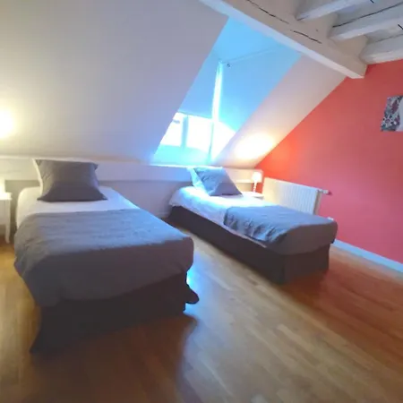 Homeplace Appart Saint Pierre Parking Free 5***** Strasbourg