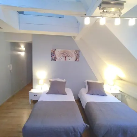 Homeplace Appart Saint Pierre Parking Free 5***** Apartment Strasbourg